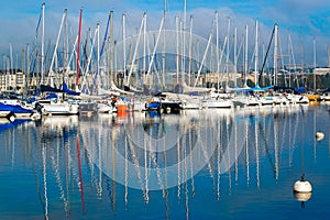 Sailboats in the Geneva harbor