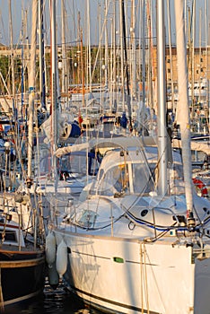 Sailboats in the Harbor