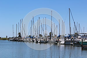 Sailboats in Harbor Gulf Coast Texas