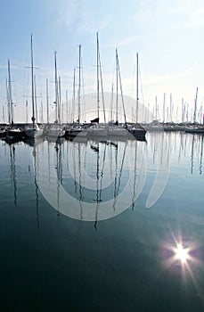 Sailboats in the harbor