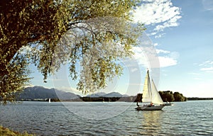 Sailboats on the lake Chiemsee