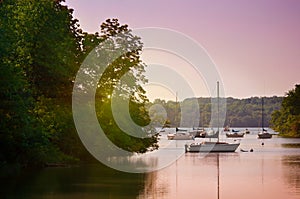 Sailboats on lake at sunset