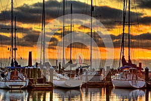 Sailboats At Marina Dock