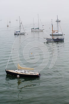 Sailboats Moored in Foggy Harbor