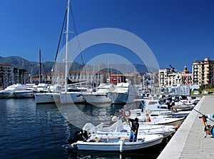 Sailboats moored in the harbor