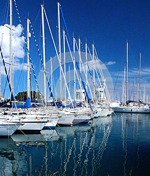 Sailboats moored in the harbor