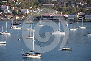 Sailboats Moored in Harbor