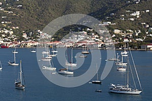 Sailboats Moored in Harbor