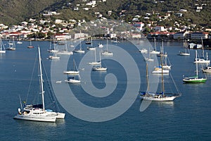 Sailboats Moored in Harbor