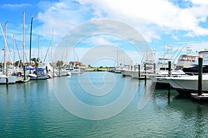 Sailboats moored in marina