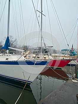 Sailboats moored in a marina in Bbylon