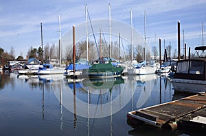 Sailboats moored in a marina, Portland OR.