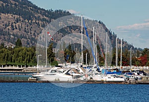 Docked Sailboats with a Mountain in the Background photo