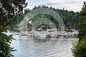 Sailboats in a Natural Harbour with a Forested Shore in Background