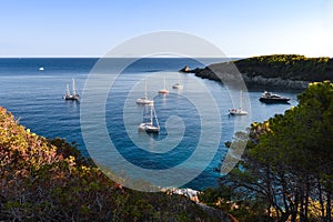 Sailboats near Elba island, Tuscany, Italy