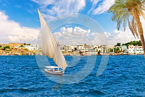 Sailboats in the Nile in front of Traditional buildings, Asuan, Egypt photo