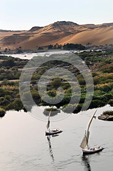 Sailboats on Nile River