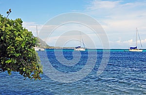 Sailboats off Moorea, Tahiti French Polynesia