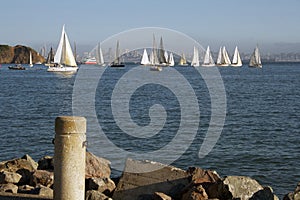 Sailboats off shore