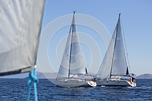 Sailboats participate in sailing regatta.