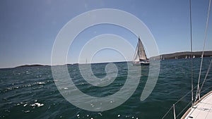 Sailboats participate in sailing regatta. Luxury.