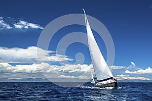 Sailboats participate in sailing regatta. Luxury Yachts.