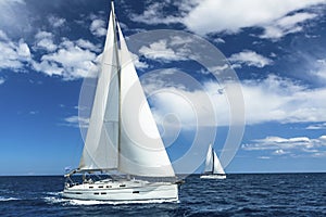 Sailboats participate in sailing regatta. Sailing. Yachting.