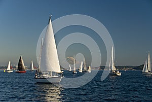 Sailboats at Puget Sound