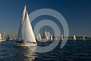 Sailboats on Puget Sound