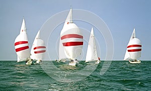 Sailboats sailing downwind with spinnakers.