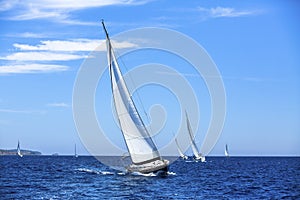 Sailboats in sailing regatta. Sailing. Outdoor lifestyle.