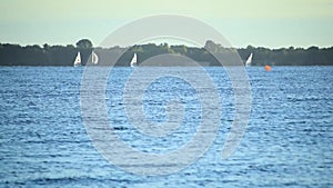 Sailboats sailing on water of sea, lake or river,