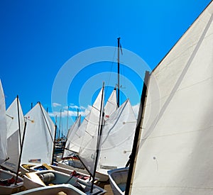 Sailboats school with sail textures in blue sky