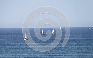 Sailboats and Schooners in The Sea