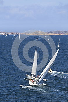 Sailboats on the sea