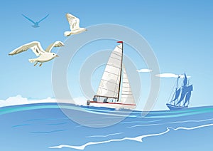 Sailboats and seagulls