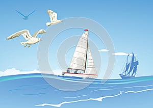 Sailboats and seagulls photo