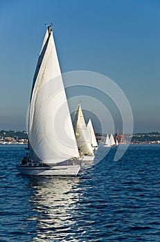 Sailboats on sunny day photo