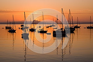 Barco de vela sobre el amanecer en puerto bahía 