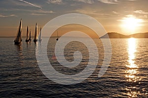 Sailboats in sunset