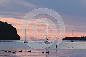 Sailboats at sunset