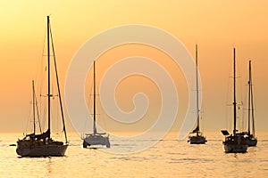 Sailboats at sunset in Adriatic sea