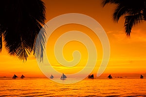 Sailboats at sunset on a tropical sea. Palms on the beach. Silhouette photo.