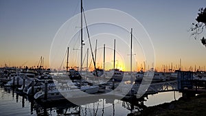 Sailboats Tethered at the Marina Dock at Sunset in San Diego California