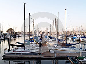 Sailboats tied up in berths in marina photo