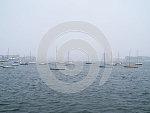 Sailboats in a Winter Storm in Boston Harbor