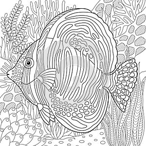 Sailfin tang fish adult coloring book page