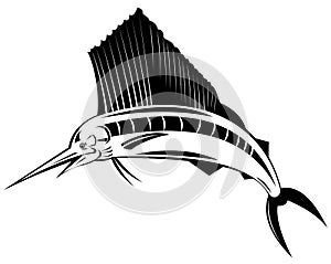 Sailfish