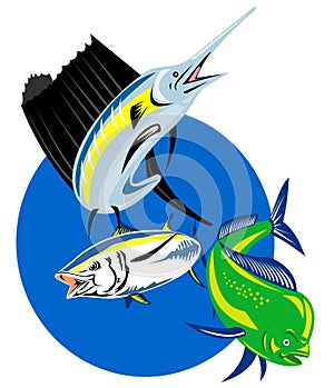Sailfish mahi dolphin fish tuna