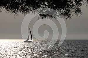 Sailing